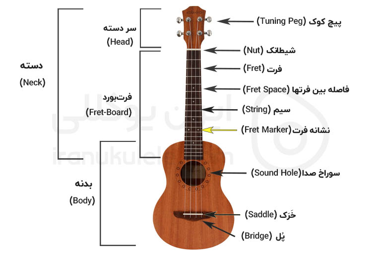 اجزای یوکللی